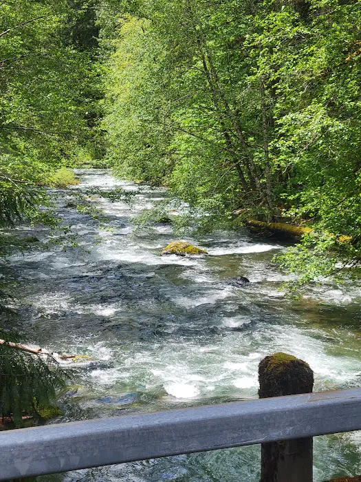 Adams Fork Campground Picture 2