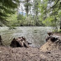 Adams Fork Campground ico