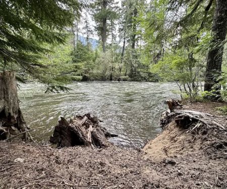 Adams Fork Campground