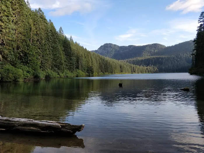 Adams Fork Campground Picture 4