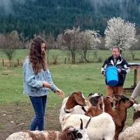 Celtic Elk Campground ico