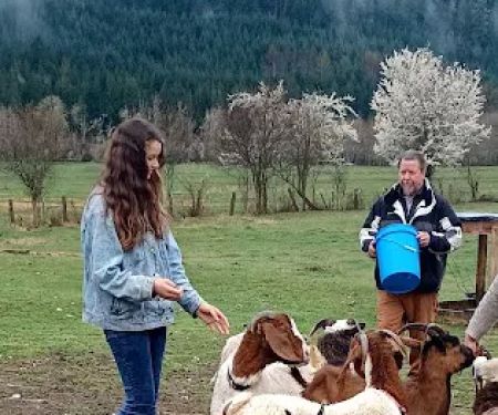 Celtic Elk Campground