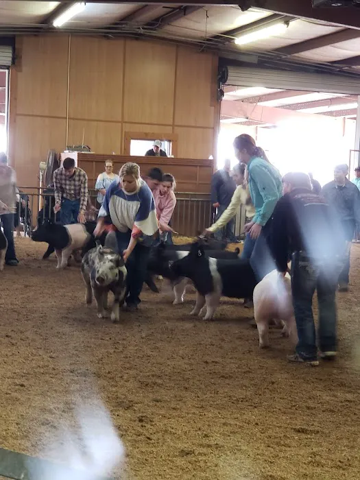 Paulk Park RV Park Picture 3