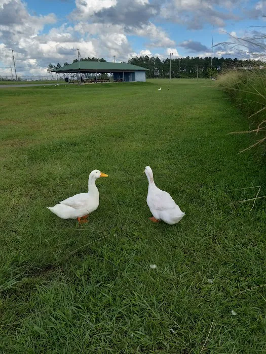 Paulk Park RV Park Picture 7