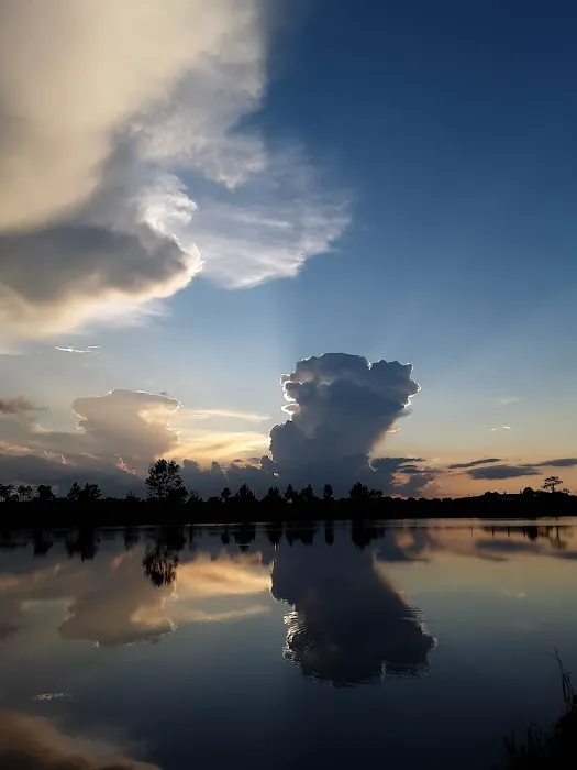 Paulk Park RV Park Picture 5