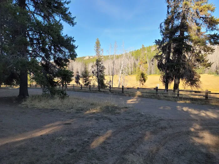 Ken Wilcox Horse Camp at Haney Meadows Picture 5