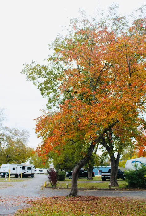 Crossroads Travel RV Park Picture 2