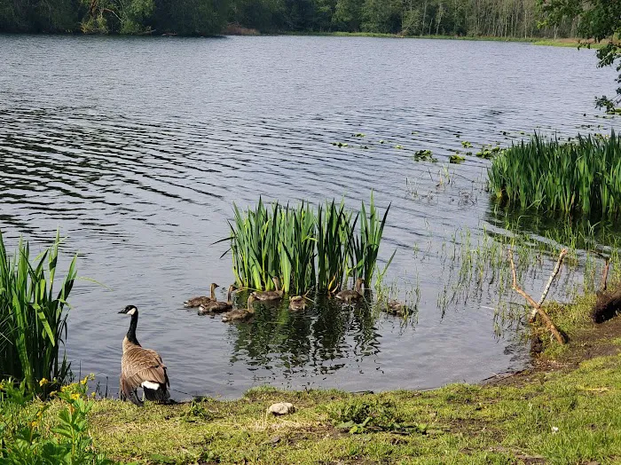 Grandy Lake Campground Picture 6