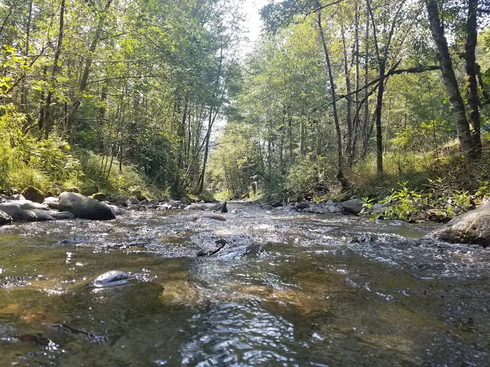Grandy Creek Thousand Trails Picture 7