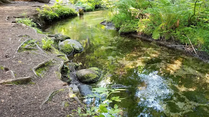 Bridge Creek Campground Picture 3