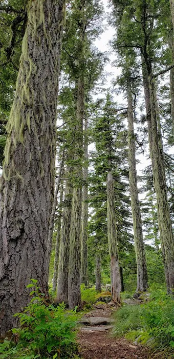 Rainbow Lake Campground Picture 4