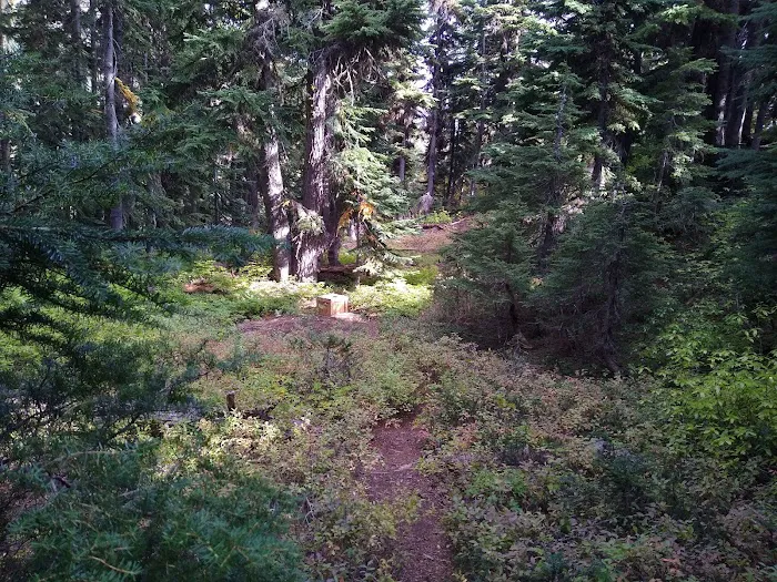 Rainbow Lake Campground Picture 9