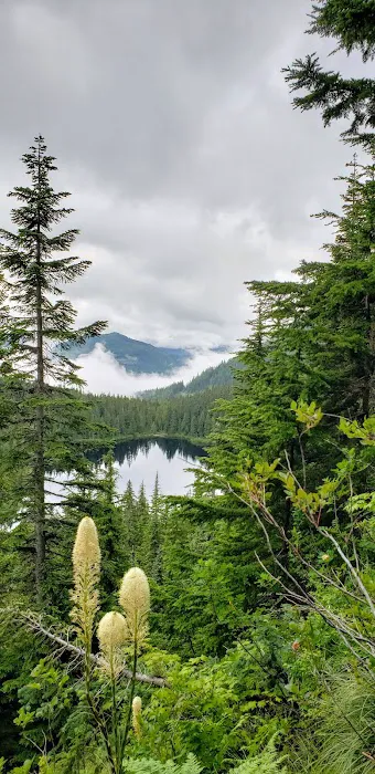 Rainbow Lake Campground Picture 6