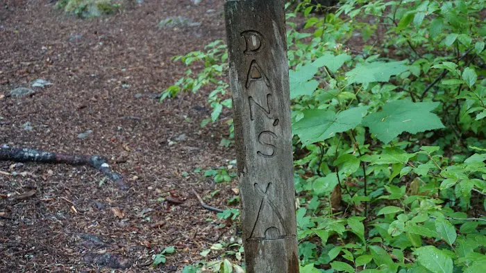 Dan's Campground Picture 1