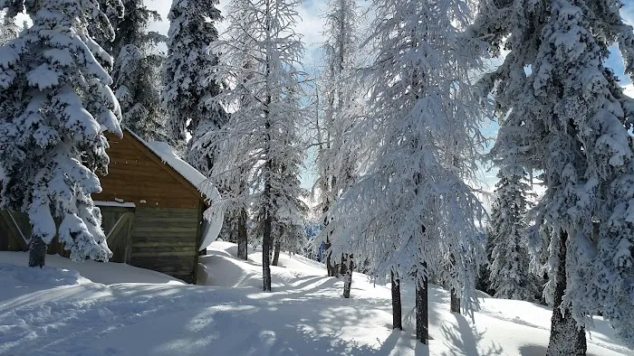 Big Hill Campsite Picture 5