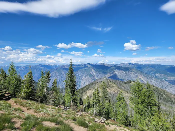 Big Hill Campsite Picture 3