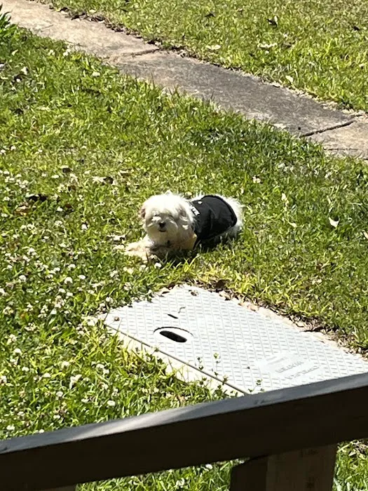 Royal Park Estates Picture 2