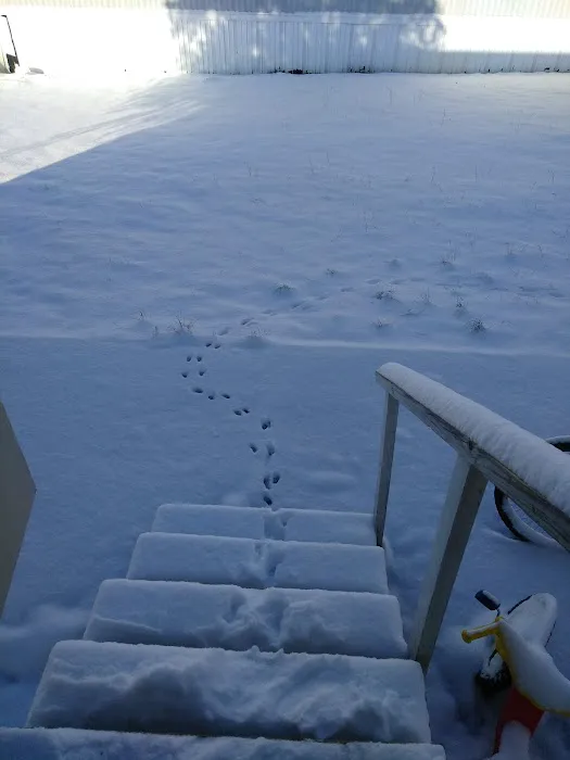 Royal Park Estates Picture 3