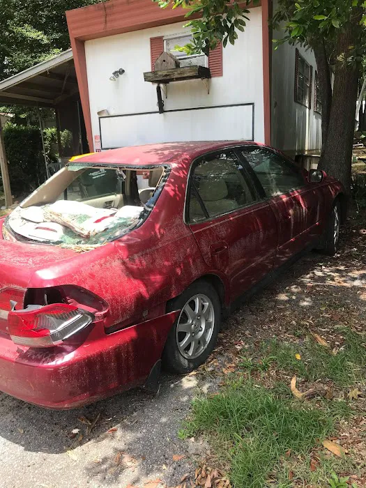 Sea Breeze Picture 2