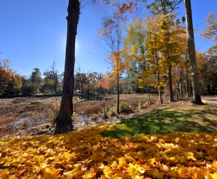 Sea Breeze Picture 7