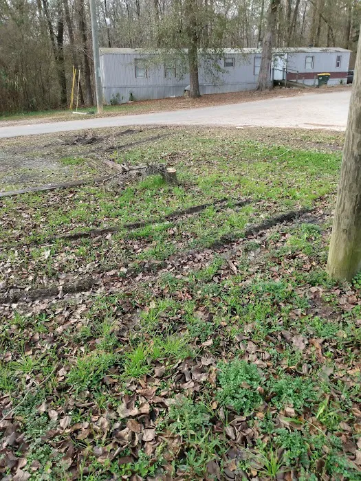 Sea Breeze Picture 5