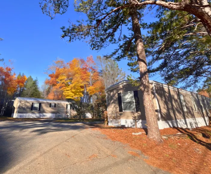 Sea Breeze Picture 10