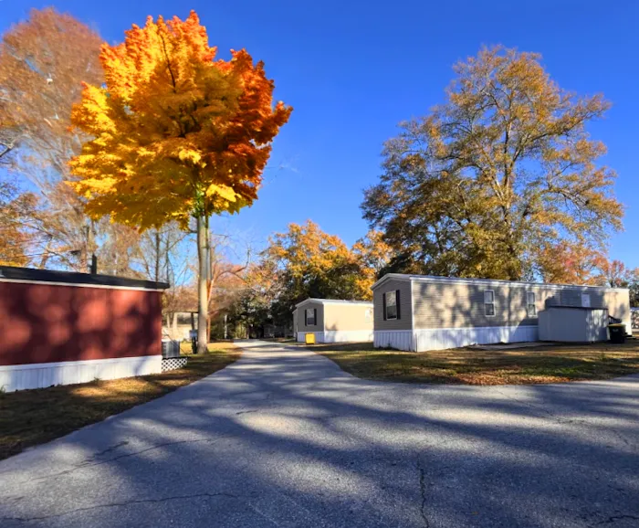 Sea Breeze Picture 8