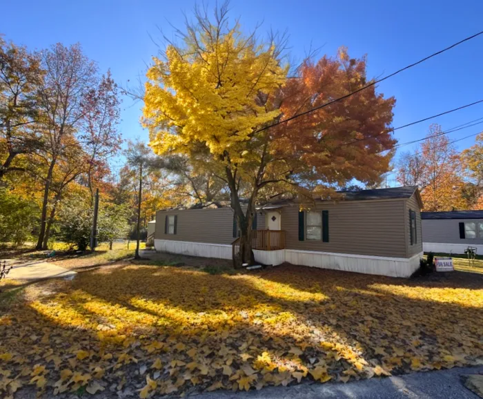 Sea Breeze Picture 6