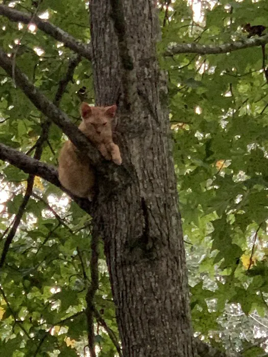 Sea Breeze Picture 1