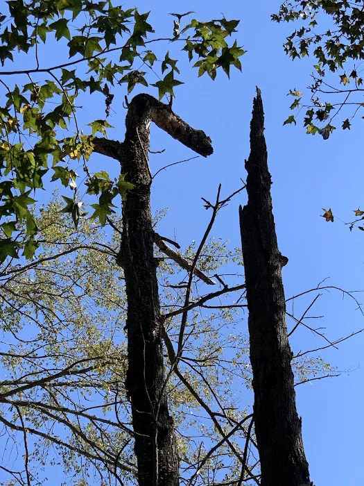 Sea Breeze Picture 3