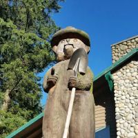 Denali Campsite ico