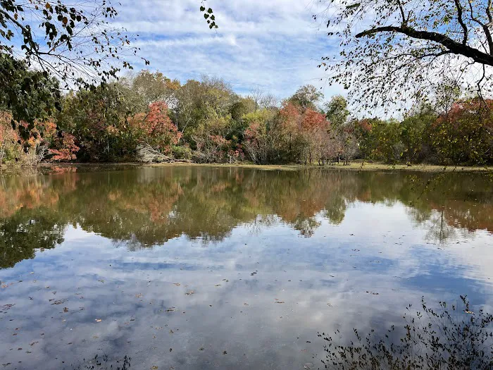 Grand Pine Estates Picture 2