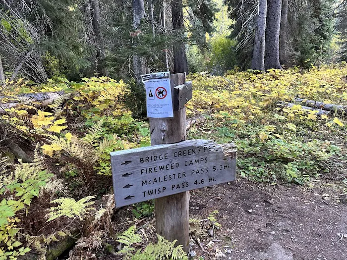 Fireweed Campground Picture 3