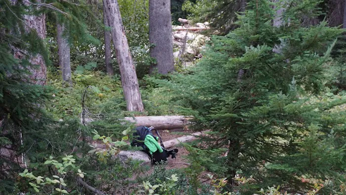 Fireweed Campground Picture 9