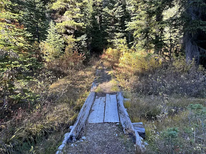 Fireweed Campground Picture 7