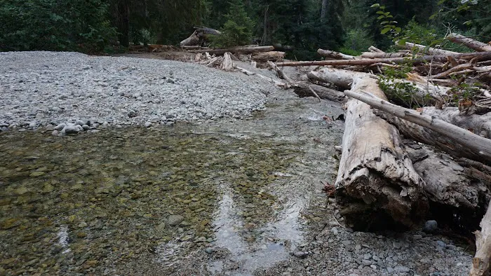 Fireweed Campground Picture 8