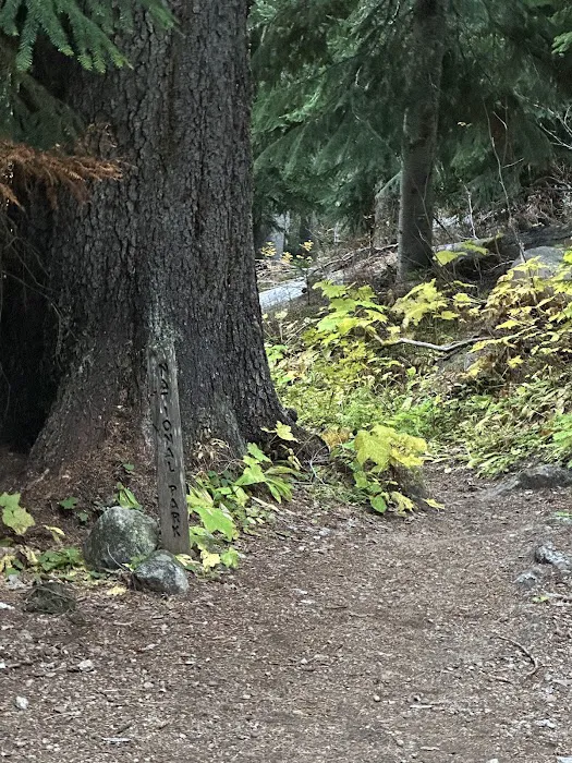 Fireweed Campground Picture 1