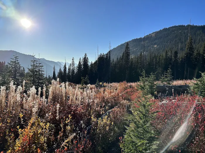 Fireweed Campground Picture 10