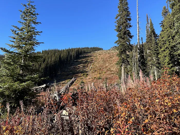 Fireweed Campground Picture 2