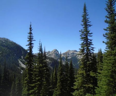 Juanita Lake Campground
