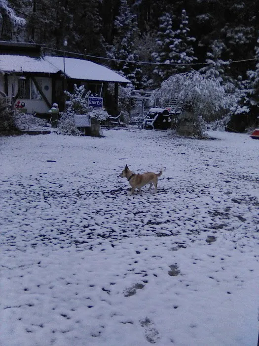 K K Wallace Trailer Park Picture 1