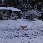 K K Wallace Trailer Park