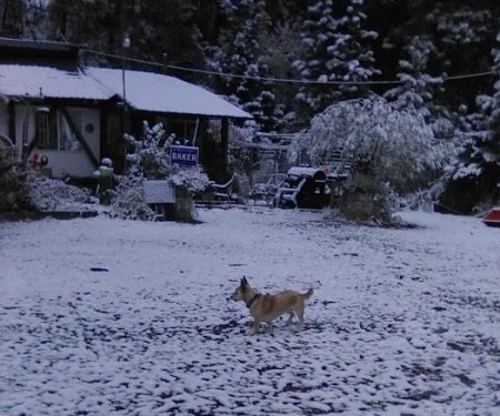 K K Wallace Trailer Park