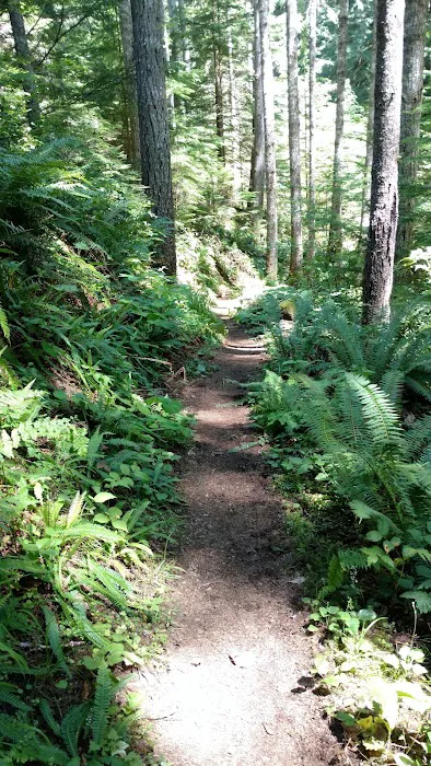 Town and Country on Walker Picture 6