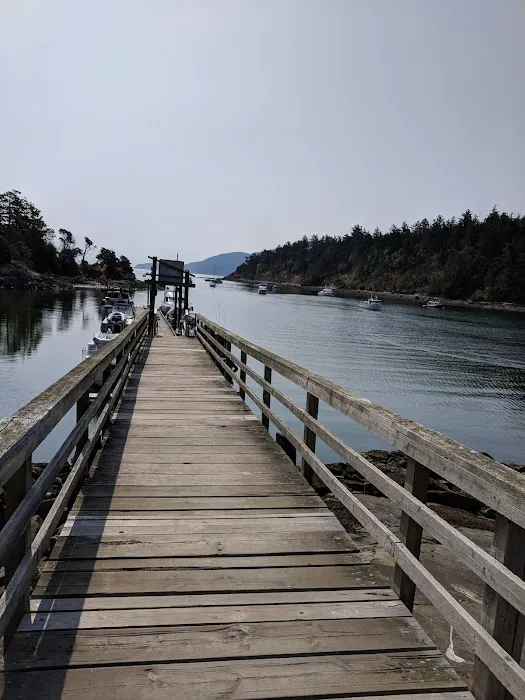 Raccoon Island Campground Picture 1