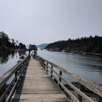 Raccoon Island Campground ico