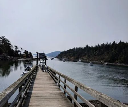 Raccoon Island Campground