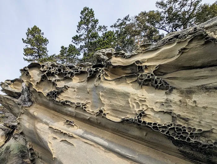 Raccoon Island Campground Picture 2