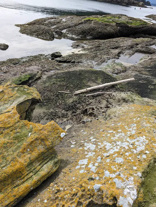 Raccoon Island Campground Picture 5