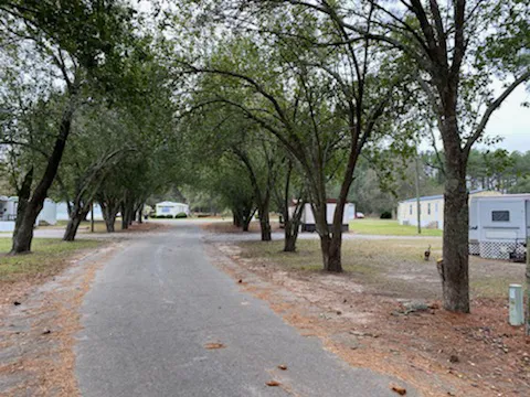 Raccoon Island Campground Picture 7